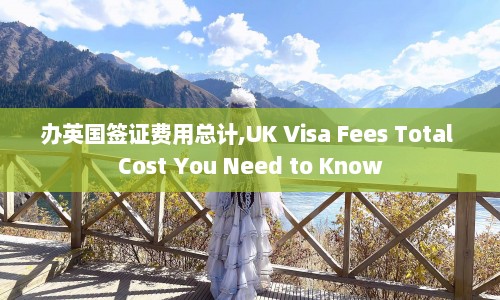 办英国签证费用总计,UK Visa Fees Total Cost You Need to Know  第1张