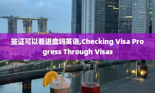 签证可以看进度吗英语,Checking Visa Progress Through Visas  第1张