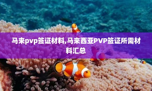 马来pvp签证材料,马来西亚PVP签证所需材料汇总  第1张