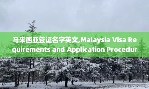马来西亚签证名字英文,Malaysia Visa Requirements and Application Procedures  第1张