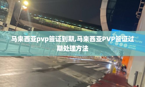 马来西亚pvp签证到期,马来西亚PVP签证过期处理方法  第1张