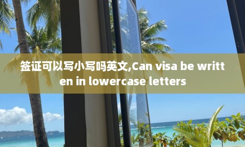 签证可以写小写吗英文,Can visa be written in lowercase letters