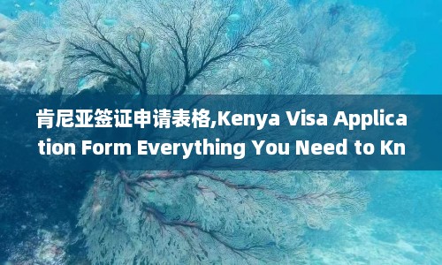 肯尼亚签证申请表格,Kenya Visa Application Form Everything You Need to Know  第1张