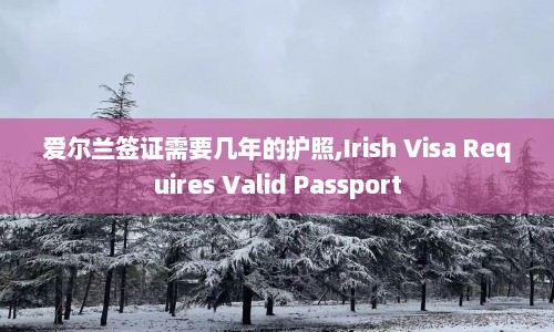 爱尔兰签证需要几年的护照,Irish Visa Requires Valid Passport  第1张