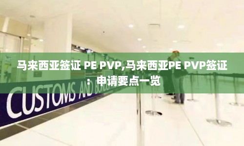 马来西亚签证 PE PVP,马来西亚PE PVP签证：申请要点一览  第1张