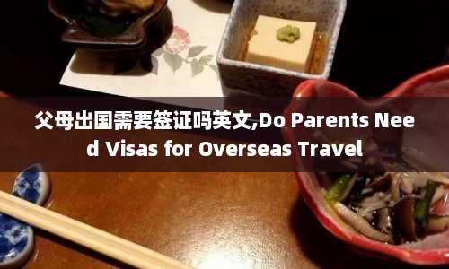 父母出国需要签证吗英文,Do Parents Need Visas for Overseas Travel  第1张