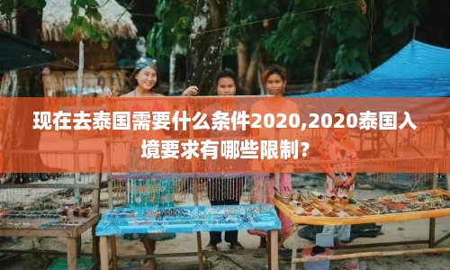 现在去泰国需要什么条件2020,2020泰国入境要求有哪些限制？