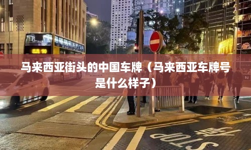 马来西亚街头的中国车牌（马来西亚车牌号是什么样子）
