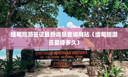 缅甸旅游签证最新消息查询网站（缅甸旅游签能待多久）  第1张