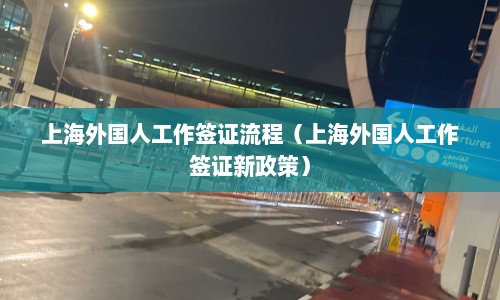 上海外国人工作签证流程（上海外国人工作签证新政策）  第1张