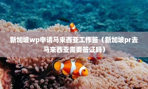 新加坡wp申请马来西亚工作签（新加坡pr去马来西亚需要签证吗）  第1张
