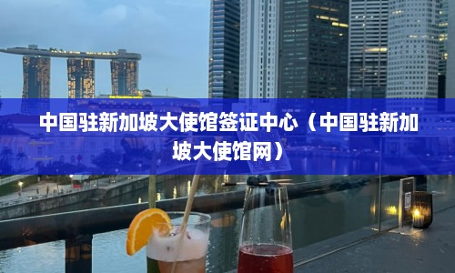 中国驻新加坡大使馆签证中心（中国驻新加坡大使馆网）  第1张