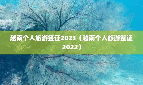 越南个人旅游签证2023（越南个人旅游签证2022）  第1张