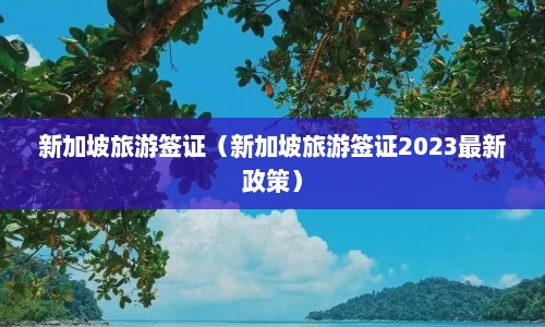 新加坡旅游签证（新加坡旅游签证2023最新政策）  第1张