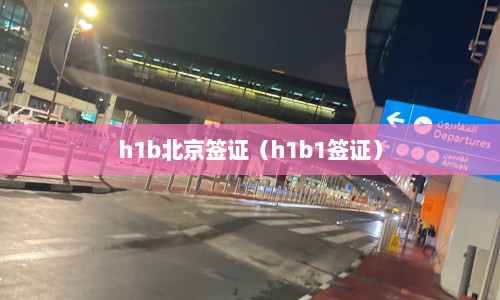 h1b北京签证（h1b1签证）  第1张