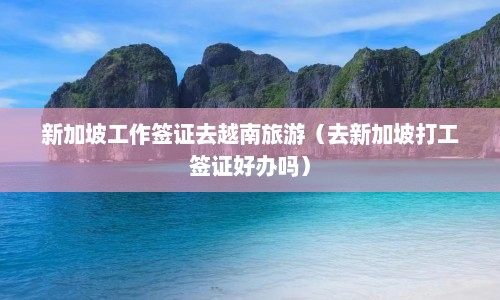 新加坡工作签证去越南旅游（去新加坡打工签证好办吗）  第1张