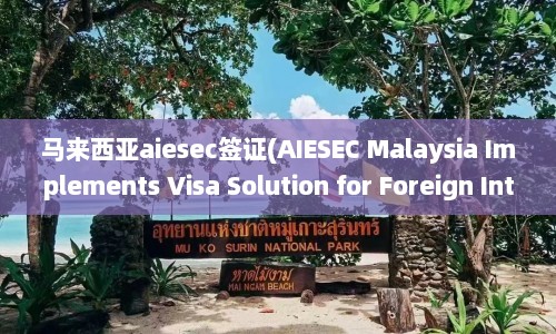 马来西亚aiesec签证(AIESEC Malaysia Implements Visa Solution for Foreign Interns)  第1张
