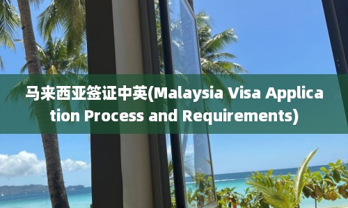 马来西亚签证中英(Malaysia Visa Application Process and Requirements)  第1张