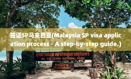 签证SP马来西亚(Malaysia SP visa application process - A step-by-step guide.)  第1张