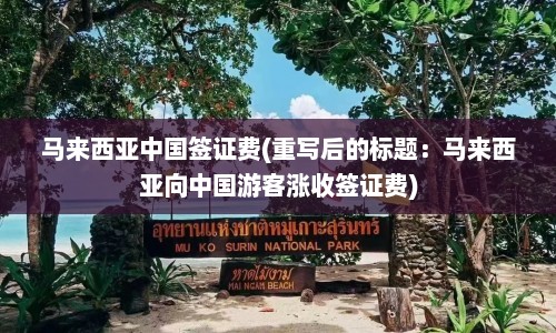 马来西亚中国签证费(重写后的标题：马来西亚向中国游客涨收签证费)  第1张