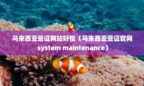 马来西亚签证网站好慢（马来西亚签证官网 system maintenance）  第1张